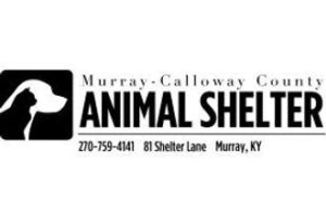 Departments Calloway County Kentucky Departments Calloway County Kentucky